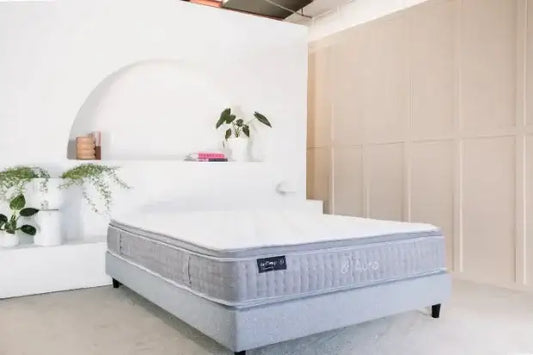 Modern bedroom with a queen mattress and upholstered bed base, surrounded by plants