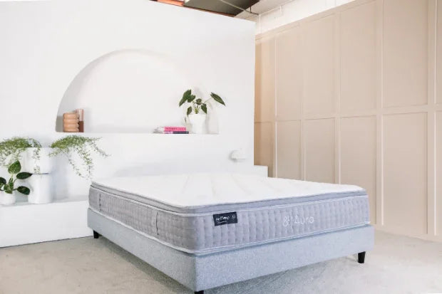 Modern bedroom with a queen mattress and upholstered bed base, surrounded by plants