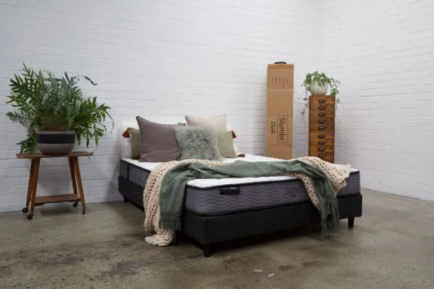 Modern bedroom with a queen mattress, stylish bedding, and indoor plants in a minimalist setting.
