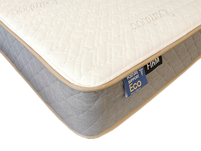 Posture Support Eco Firm image 0