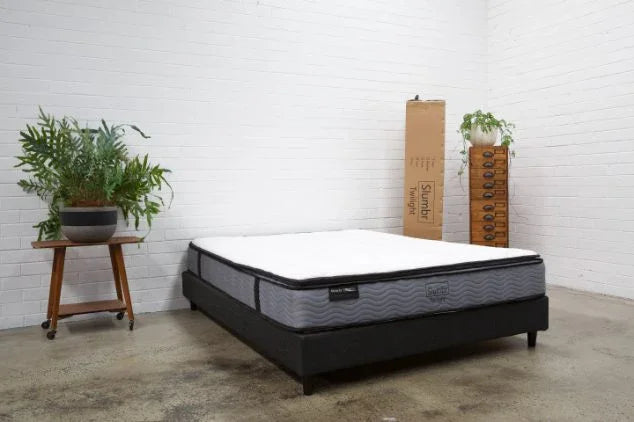 Modern bedroom with grey mattress on black bed base, indoor plants, and minimalist decor