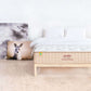 Yinahla Classic Comfort image 0